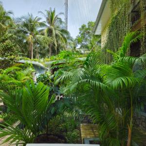 Zahrada ubytování Homestay Bảo Bình