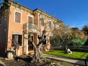 Ein Baum im Hof eines Hauses in der Unterkunft Casa Argia in Padua
