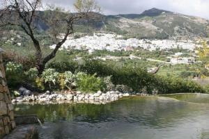 Zdjęcie z galerii obiektu Castra Vinaria w mieście Casarabonela