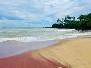 een zandstrand met de oceaan en palmbomen bij Sun Beach in Tangalle