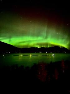 an aurora in the sky over a body of water at Awesome Fishing, Boating and Nature Experience at Fiskesenter Birkeland in Rekdal