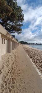une plage de sable avec un bâtiment et un arbre dans l'établissement Escale Côte et Mer, à Clohars-Fouesnant