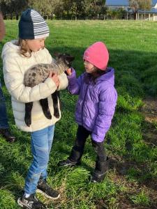 dos jovencitas jugando con una oveja en un campo en Jilly Park Farm Hands-On Experience Discover Authentic Farm Life Complimentary Breakfast Included, en Buln Buln