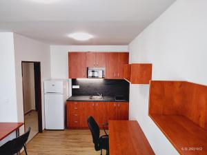 Kuchyň nebo kuchyňský kout v ubytování Hostel Blanice