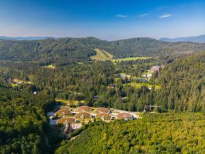 Príroda v okolí apartmánu