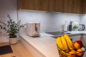 Kuchyňa alebo kuchynka v ubytovaní DAPELOVA Apartments - Tále