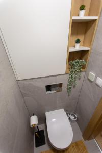 Kúpeľňa v ubytovaní DAPELOVA Apartments - Tále