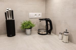 Príslušenstvo na prípravu kávy alebo čaju v ubytovaní DAPELOVA Apartments - Tále