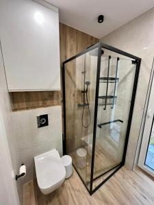 a bathroom with a shower and a toilet at Domek u Zająca in Krynica Zdrój