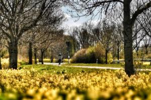 a person walking down a path in a park with trees at Apartmentvermittlung Mehr als Meer - Objekt 7 in Niendorf