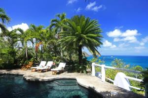 una piscina con sillas y vistas al océano en Smuggler's Nest - Exotic & romantic villa villa, en Cap Estate