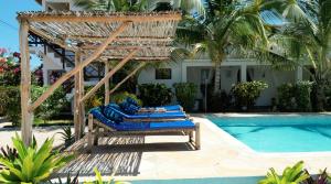 Makunduchi的住宿－Tofauti Inn，一组蓝色的躺椅,位于游泳池旁