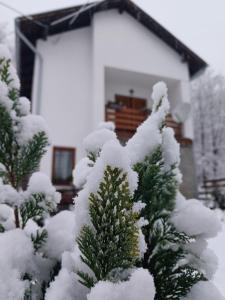 Holiday home Tilia om vinteren