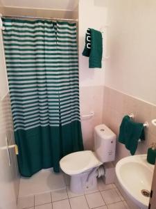 uma casa de banho com um WC e uma cortina de chuveiro verde em ALMI - penzion - pizzerie em Staré Splavy