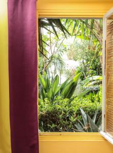 a window with a view of a garden of plants at La Petite Calanque in Marseille