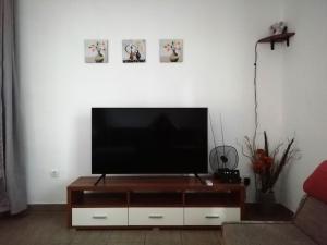 TV a/nebo společenská místnost v ubytování Apartman Radošić