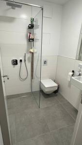 a bathroom with a glass shower stall with a toilet at Luxuriöse Penthousewohnung in Zentrumsnähe in Leipzig