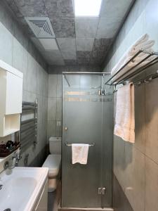 a bathroom with a shower and a toilet and a sink at Zimmer Boutique Hotel in Baku