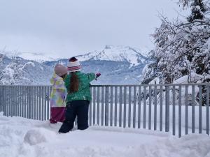Familienhotel Adler durante l'inverno