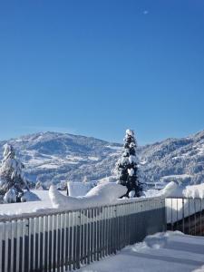 ein mit Schnee bedeckter Zaun mit Bäumen und Bergen in der Unterkunft Hotel Gasthof Adler in Lingenau