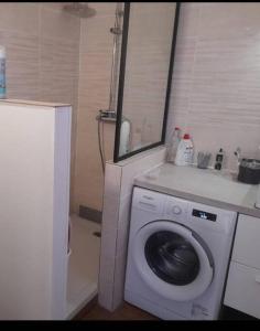 a bathroom with a washing machine and a sink at Les pieds dans l’eau in Baie Nettle