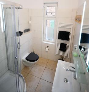 a bathroom with a toilet and a sink and a shower at NEU! Ferienidyll Nähe Plauer See in Halenbeck