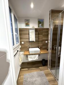 a bathroom with a sink and a shower at LAppart de Droite Confort en ville avec parking privé in Le Creusot