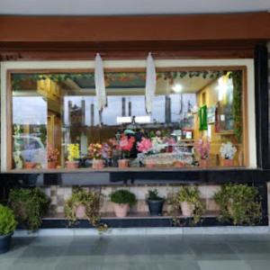 達旺鎮的住宿－Hotel Mon Paradise, Tawang，花店的陈列窗,有盆栽植物