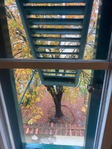 een raam met uitzicht op een boom met herfstbladeren bij Casa Amorino in Lucca