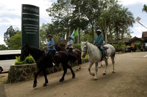 Attività di equitazione presso il resort o nelle vicinanze