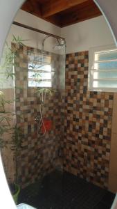 a shower with a glass door in a bathroom at La Case Floria in Saint-André