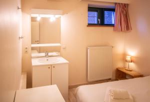 La petite salle de bains est pourvue d'un lavabo et d'un miroir. dans l'établissement B&B La Ferme de l'Hosté, à Wavre