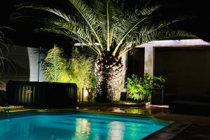 a palm tree next to a swimming pool at night at Studio Piscine Pa Ni Pwoblem in Vitrolles