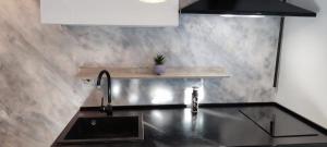 a kitchen with a sink and a counter top at Apartman Maksimir Rebro Jordanovac Luka in Zagreb