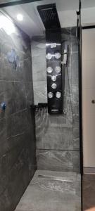 a shower in a bathroom with a shower at Apartman Maksimir Rebro Jordanovac Luka in Zagreb