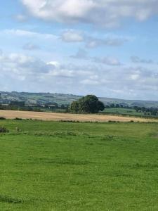 a large green field with a tree in the distance at High Jobs Hill House,Fantastic large family house pet friendly in Crook