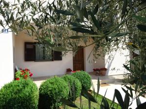 A garden outside Apartment Sopta