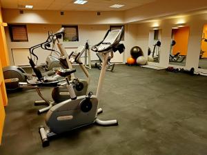 Fitness centrum a/nebo fitness zařízení v ubytování Holi Resort