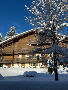 a snow covered tree in front of a building at CHALET LE REPAIRE PROCHE PISTE in Megève
