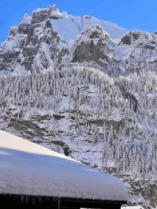 a mountain with snow covered trees and a building at Peacefull Mountains View in Kandersteg