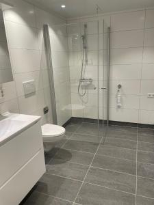 a bathroom with a toilet and a glass shower at Helt ny leilighet med flott beliggenhet nært havet in Tromsø