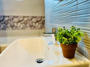 a bathroom sink with a potted plant on it at MontSee Brasov in Braşov