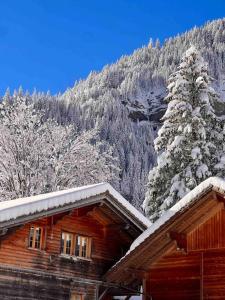 a log cabin with snow on the roof at Wesley House in Kandersteg