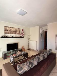 ein Wohnzimmer mit einem Sofa und einem Flachbild-TV in der Unterkunft Bakopoulos resort.Ενα όμορφο διαμέρισμα με τζάκι in Tríkala