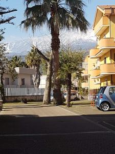a palm tree and a car parked next to a building at Casa Vacanze Indaco in Mascali
