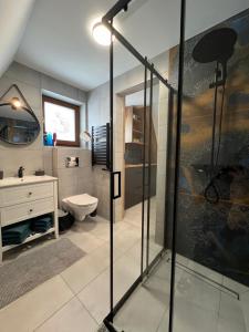 a bathroom with a shower and a toilet at Ostoya Twoya in Poronin