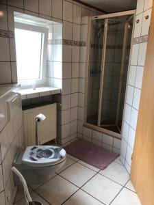 a bathroom with a toilet and a shower and a window at NEU! Ferienwohnung Kippblick Schiffweiler in Schiffweiler