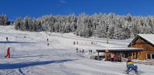 Wenigzell的住宿－PANORAMA SportHOTEL，一群人沿着雪覆盖的斜坡滑雪