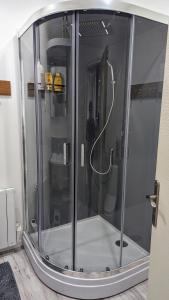 La salle de bains est pourvue d'une douche avec une porte en verre. dans l'établissement Domaine de la Griffe - Appartement moderne à la montagne, à La Roche-sur-Foron