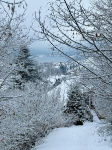 a snow covered hill with trees and a city in the distance at Bel appartement Magnifique vue Lac -Les Gouttridos in Gérardmer